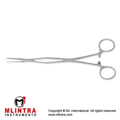 Tendon Tunnelling Forcep 1 x 2 Teeth Stainless Steel, 21 cm - 8 1/4" Tendon Tunnelling Forcep 1 x 2 Teeth Stainless Steel, 21 cm - 8 1/4"